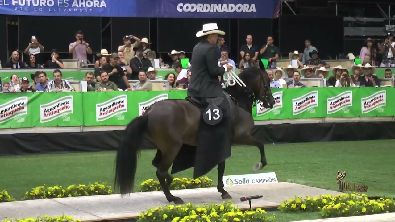 MADREMONTE DE LA LEYENDA CAMPEONA JOVEN TROCHA COLOMBIANA COPA CIUDAD MEDELLIN GRADO A 2024