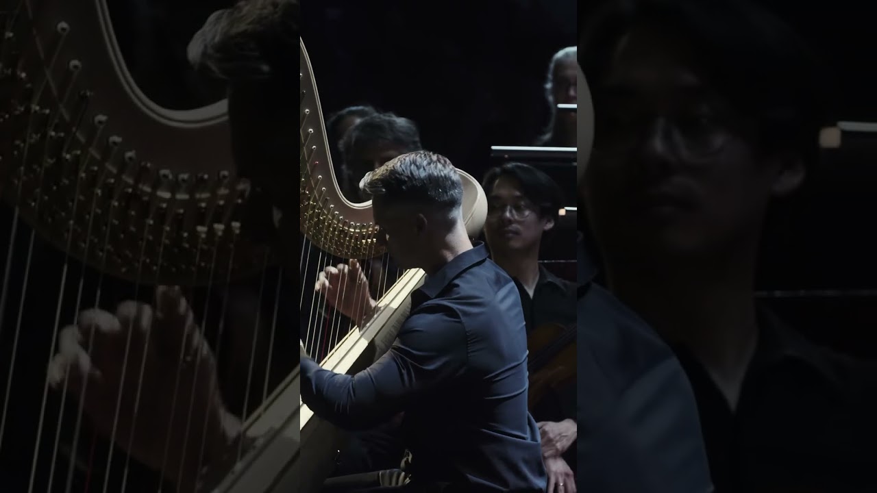 Harpist Xavier De Maistre 