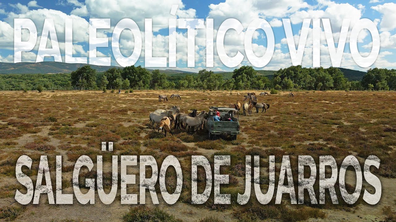 Paleolítico Vivo / Salgüero de Juarros / Safari Burgos