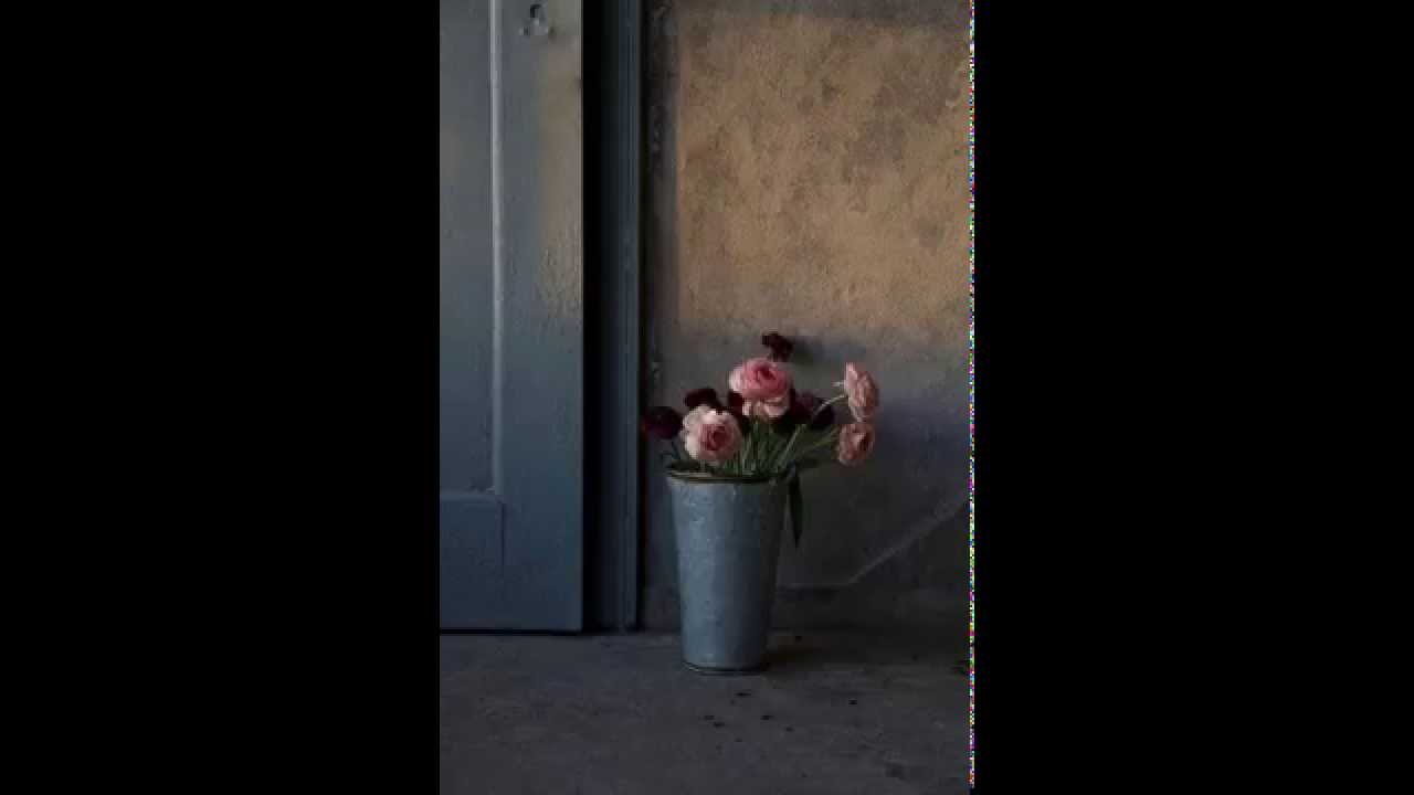 ΝΑΠΟΛΕΩΝ ΛΑΠΑΘΙΩΤΗΣ - Ο ΝΑΡΚΙΣΣΟΣ