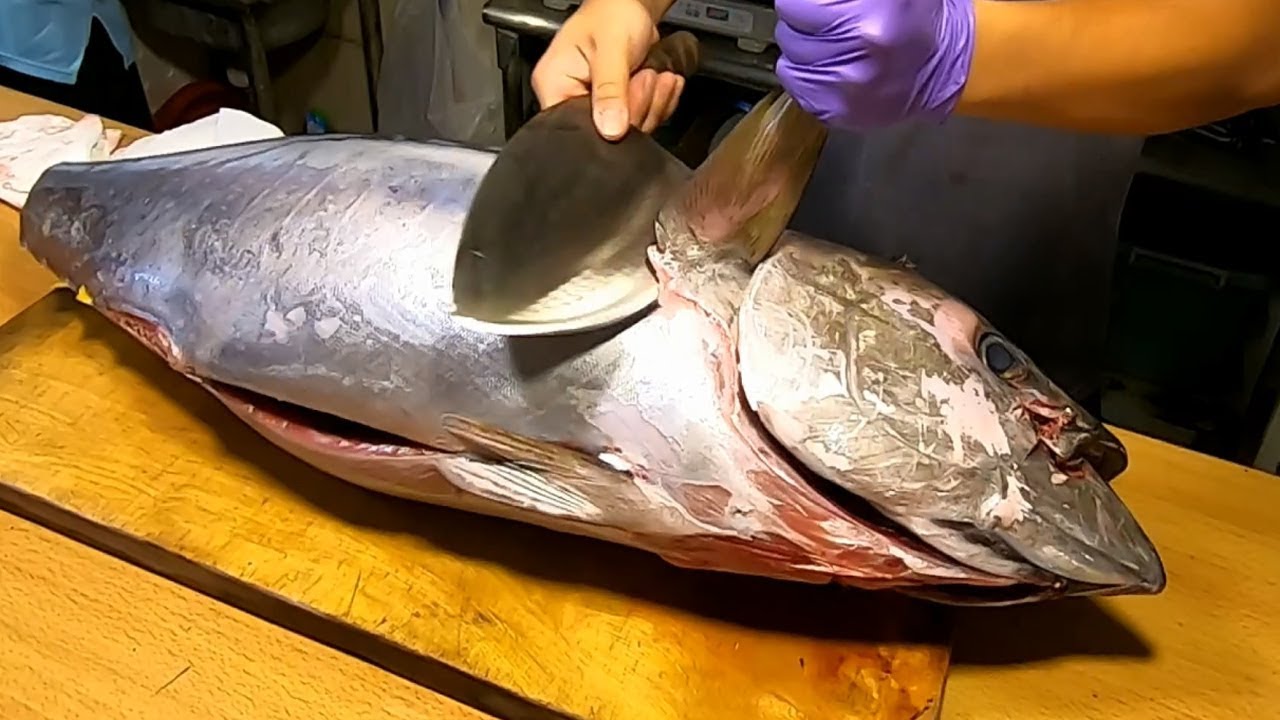 How to Fillet Big Yellowfin Tuna for Sasimi & Sushi