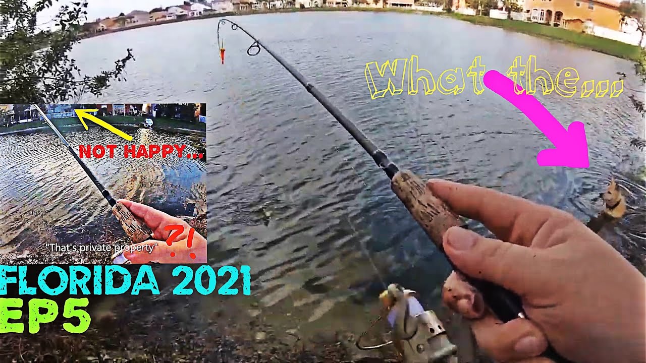 HARASSED? 😂 I Catch HUGE Fish While They Watch (Small Urban Lake)