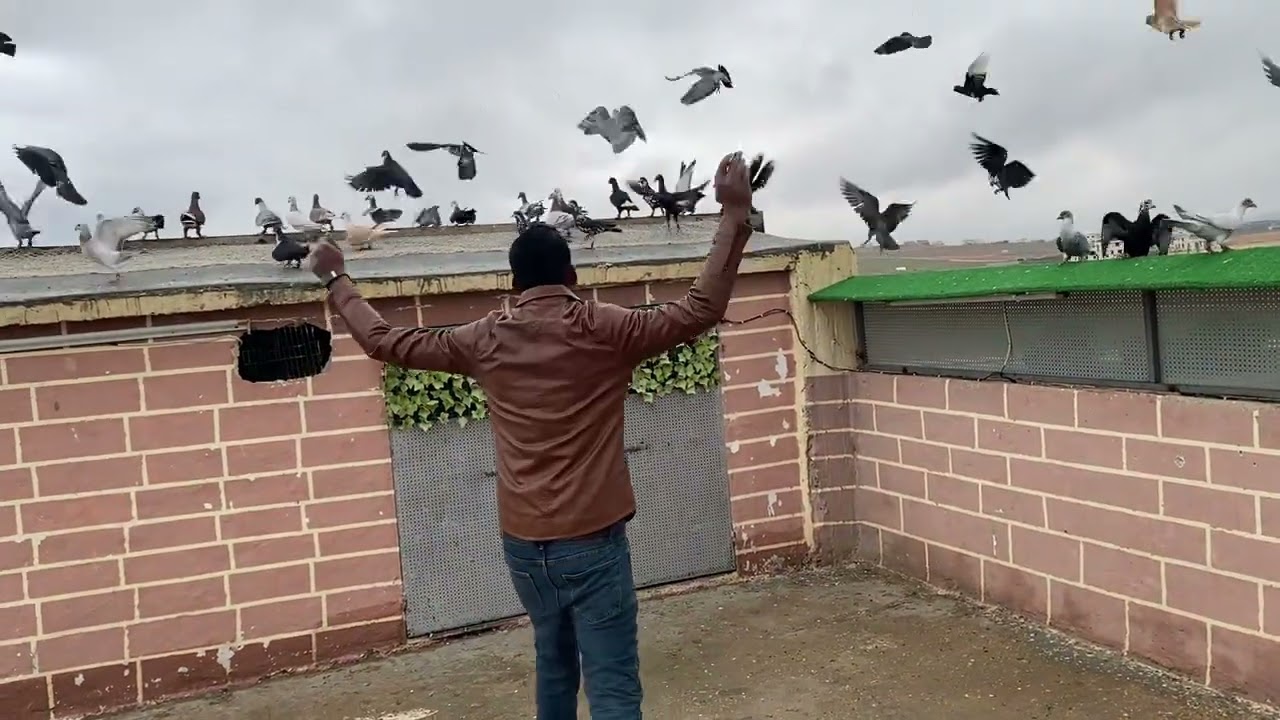 جبنا قطعه 15 طير كشامره وجلوف كشيناهم كلهم 😱