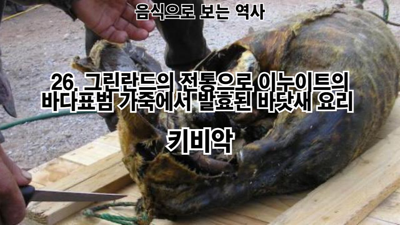 그린란드의 전통으로 이누이트의 바다표범 가죽에서 발효된 바닷새 요리 키비악