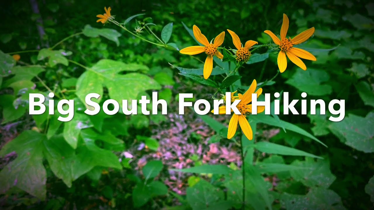 Big South Fork Hiking- Stoopin' Oak Ridge, Slaven Cemetery and the Search for an old Cabin Site
