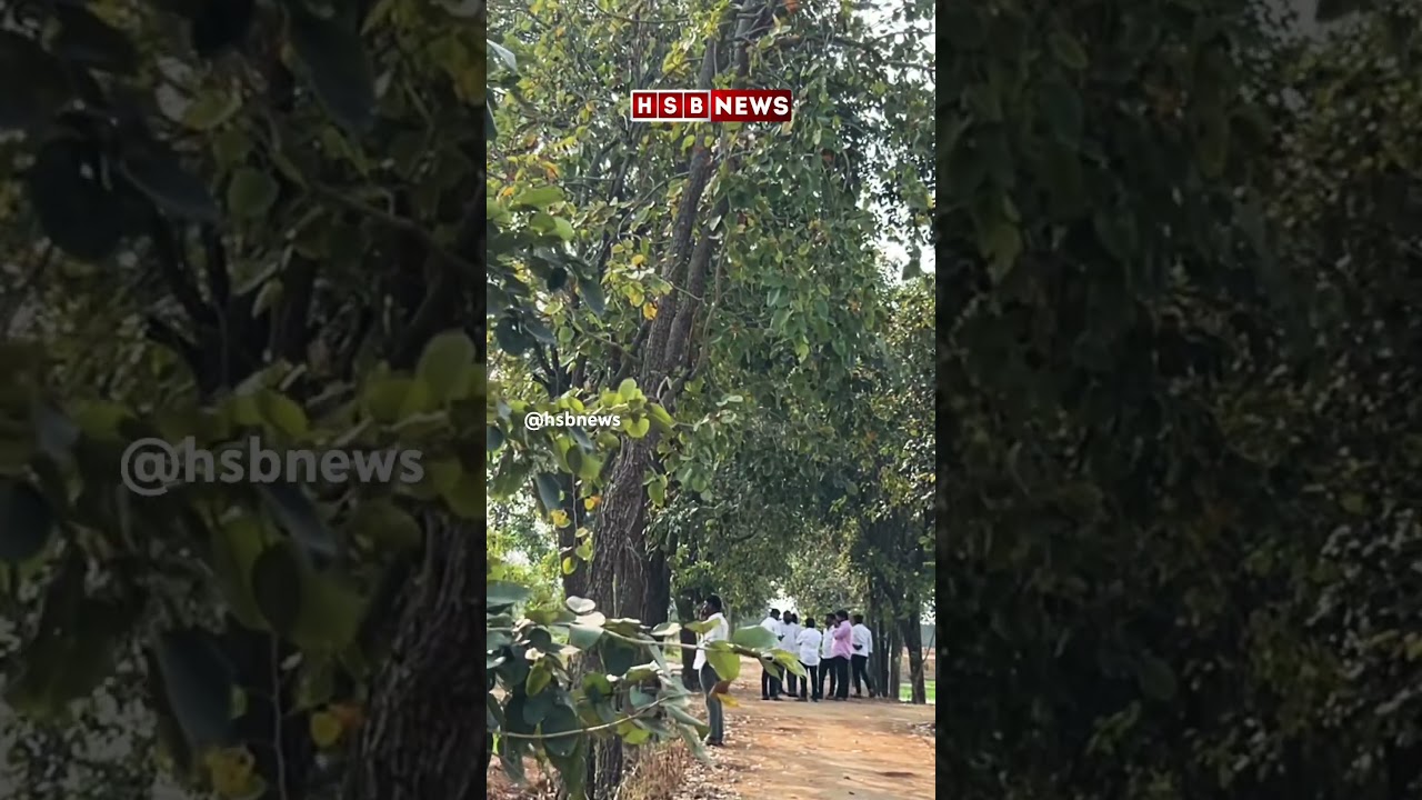 KCR farmhouse Full Video 🖕 #hsbnews #kcr
