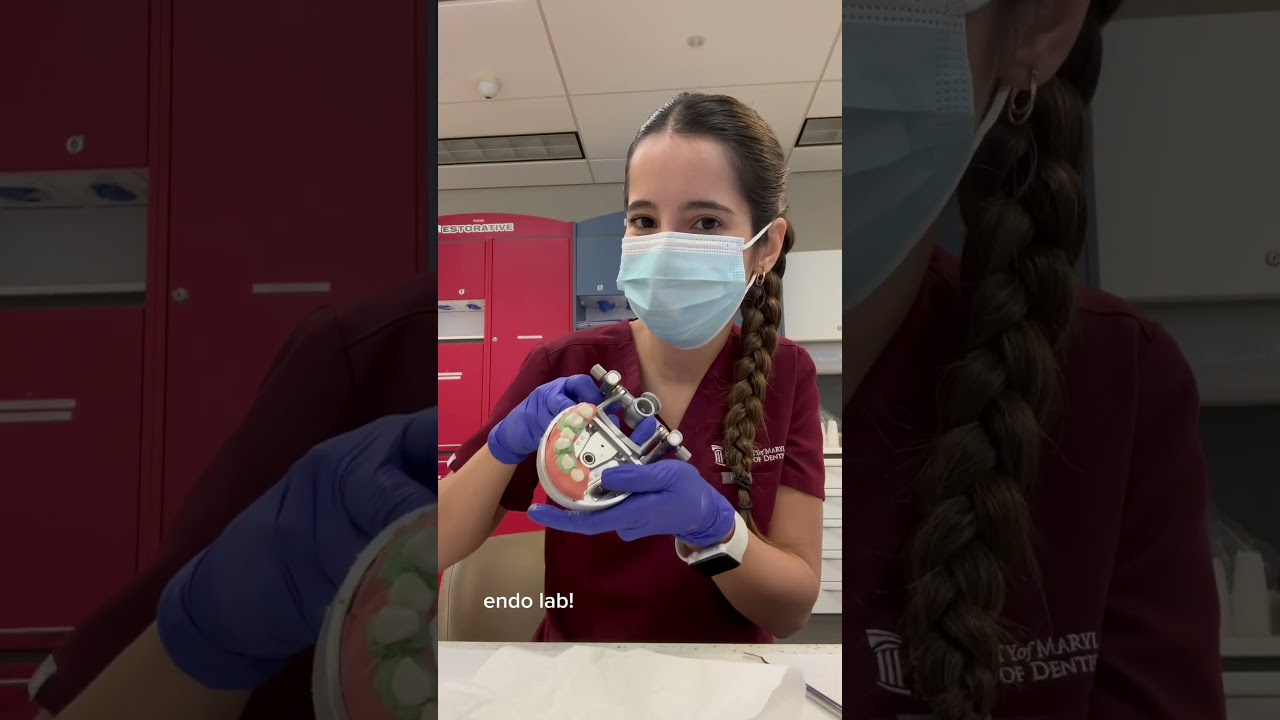 day in my life 🪥🦷 #dentist #dental #dentalstudent #dentalschool #dentistry