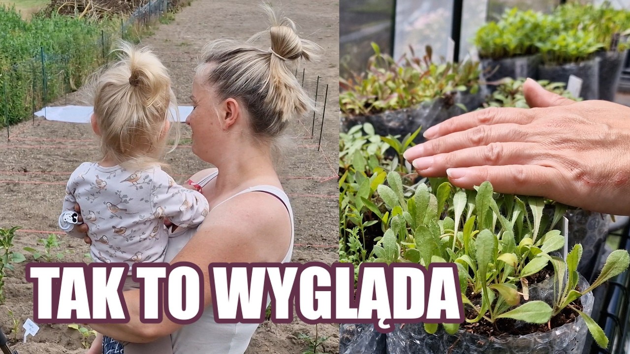 Farma kwiatowa, dziecko i codzienność &mdash; tak wygląda nasze nowe życie🌸