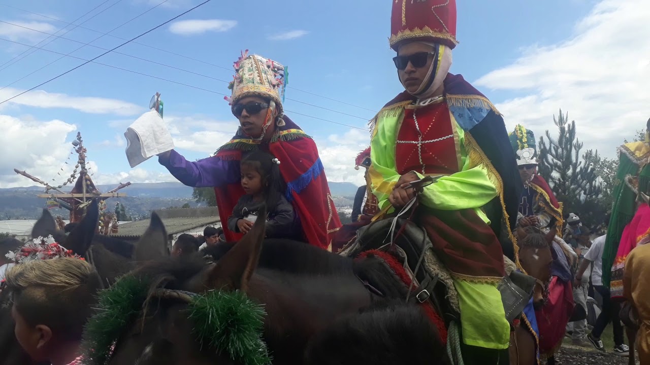 Salache barbapamba 2019