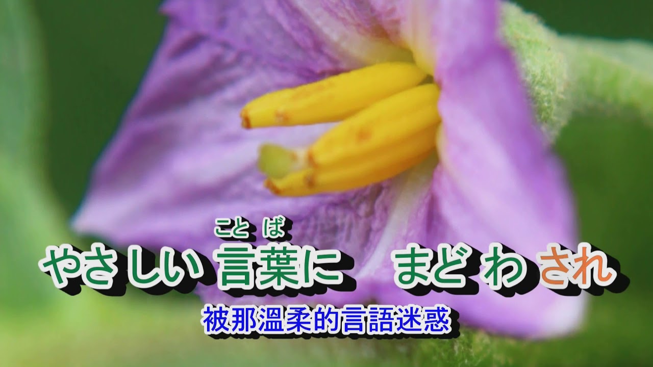 01-099  骨まで愛して (台語: 愛你入骨)