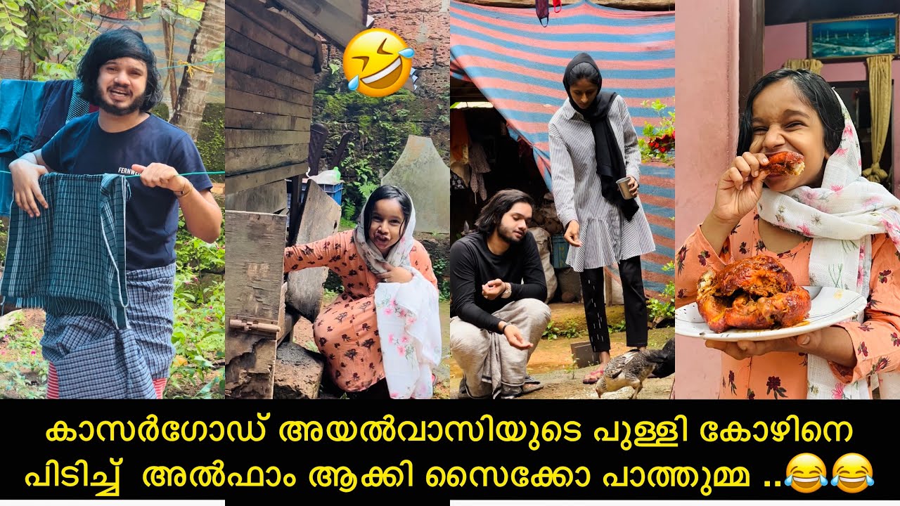 കാസർഗോഡ് അയൽവാസിയുടെ കോഴിനെ  പിടിച്ച് അൽഫാം ആക്കി സൈക്കോ പാത്തുമ്മ ..😂😂 |ashiisvlog |