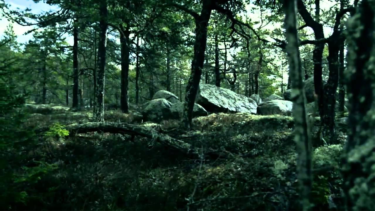 Hemliga Svenska Rum- Hemsö fästning