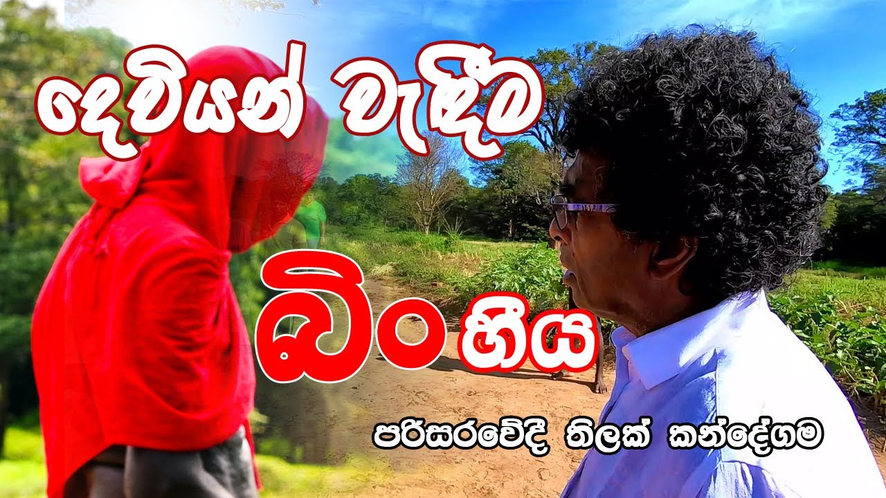 දෙවියන් වැඳීම - බිං හීය - පරිසරවේදී තිලක් කන්දේගම / Thilak Kandegama / Seehela Nature Village