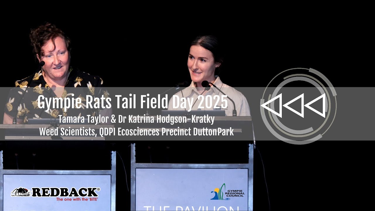 Giant Rats Tail Grass - Tamara Taylor & Katrina Hodgson-Kratky