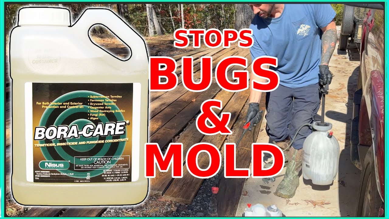 PROTECT Your wood with BORACARE and save your projects!