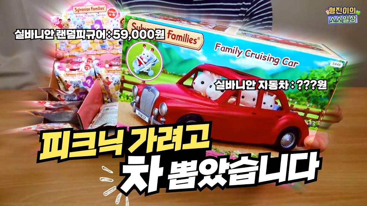 피크닉 가겠다고 차🚘뽑은 실바니안 아가들(?)| 소소일상 SOSO1SANG