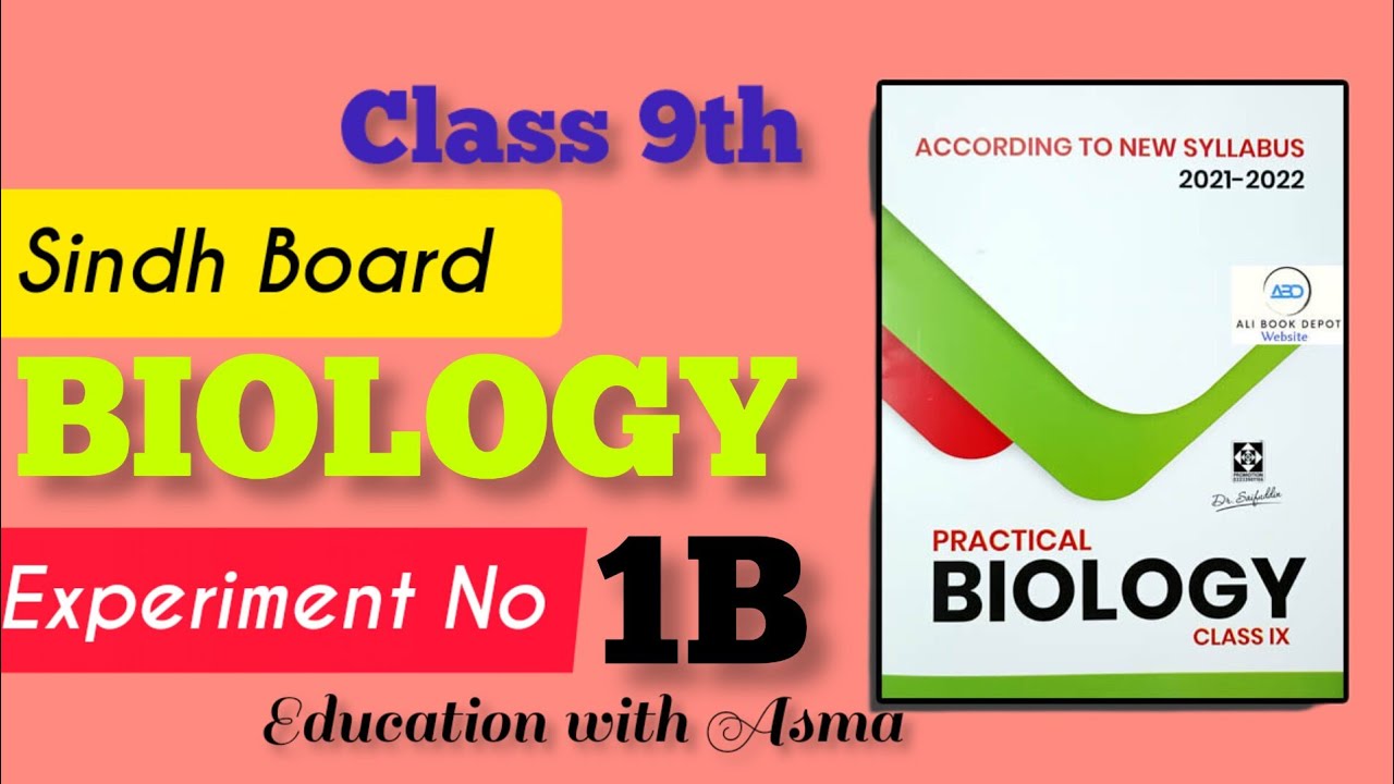 Unicellular Organisms Experiment 1 ( b ) | biology class 9