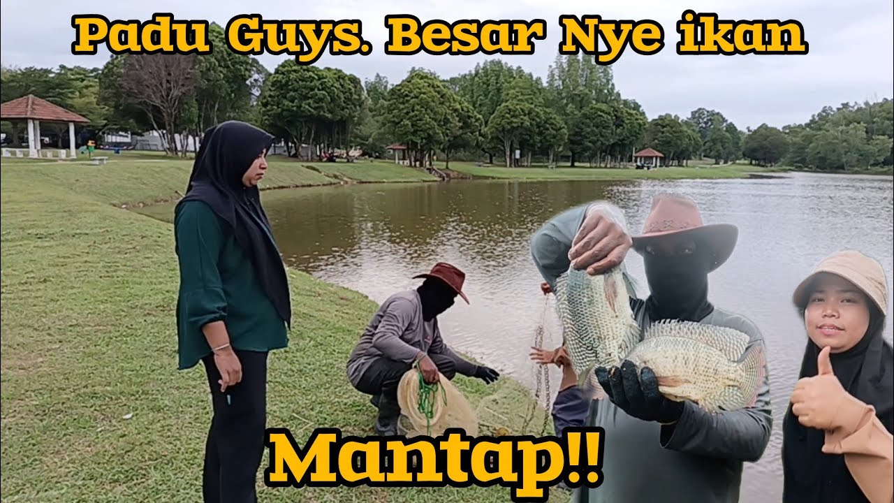 WOW SAIZ IKAN TALAPIA YANG PADU‼️MANTAP GUYS, HASILNYA MEMANG BESAR 