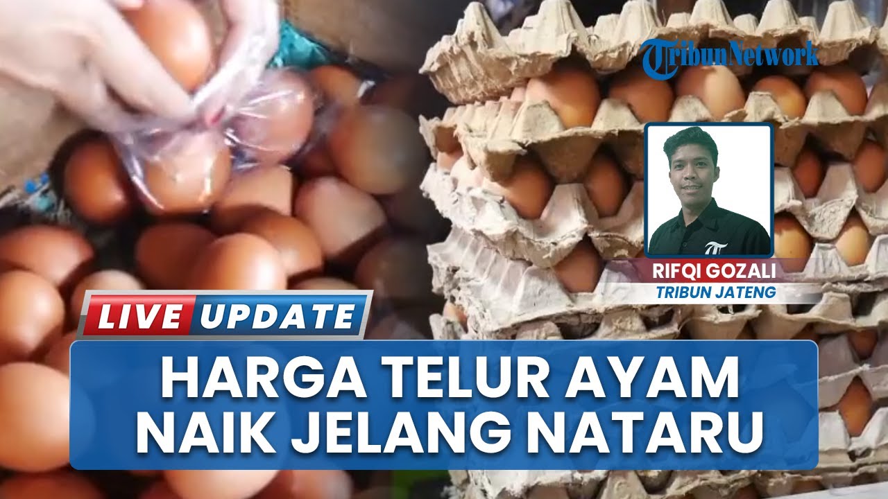 Harga Telur Ayam di Kudus Tembus Rp 32 Ribu Jelang Nataru, PKL Sekitar Sekolah Menjerit