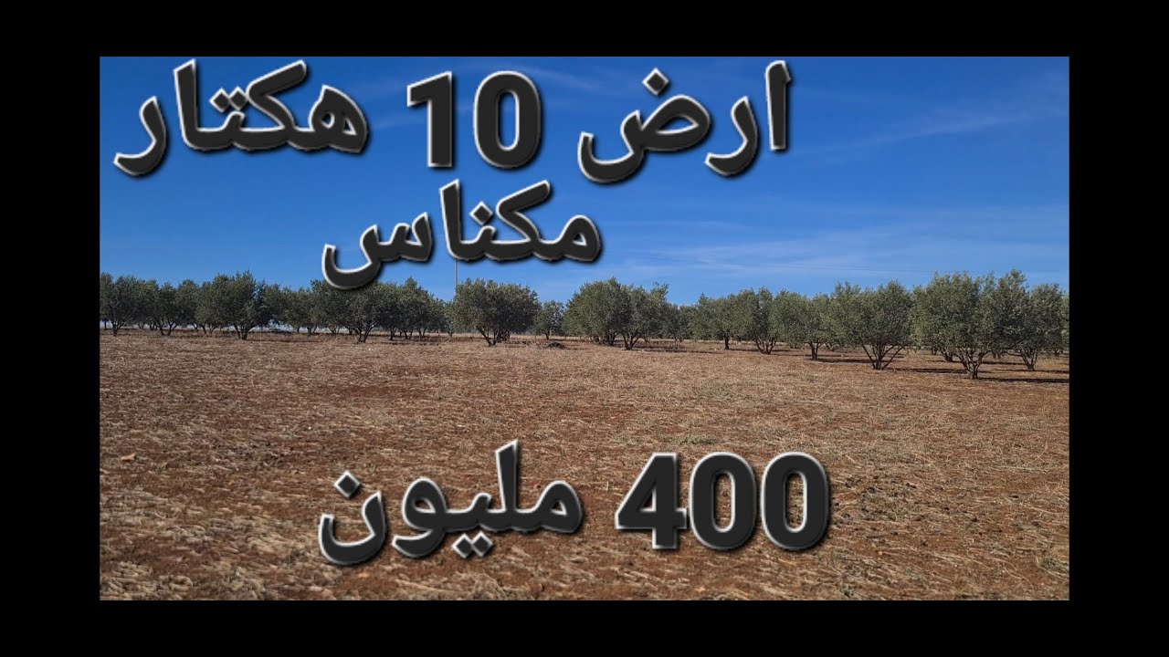 Ferme 10h Meknes فيرمة 10 هكتار مكناس