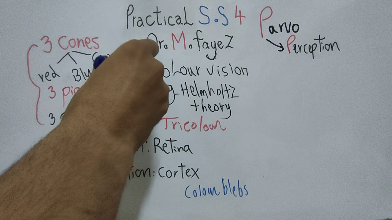 Practical Special Sense 4 (Colour Vision) Dr Mohamed Fayez