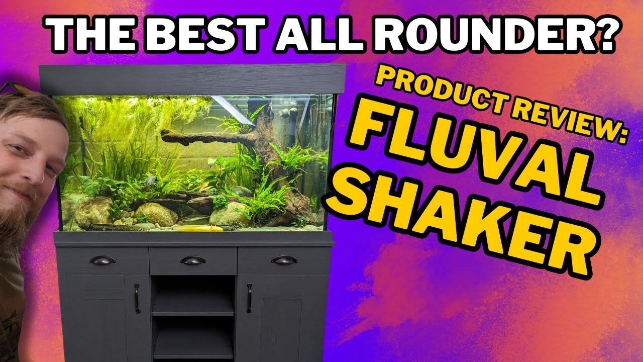Мой ЛЮБИМЫЙ БОЛЬШОЙ набор для аквариума? Шейкер FLUVAL.