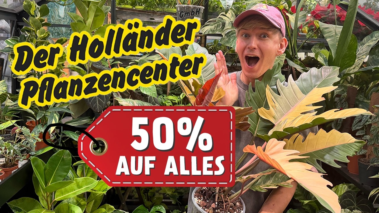 ABSOLUTER Ausverkauf beim Holländer! DIESE Schnäppchen musste ich mir sichern 😱