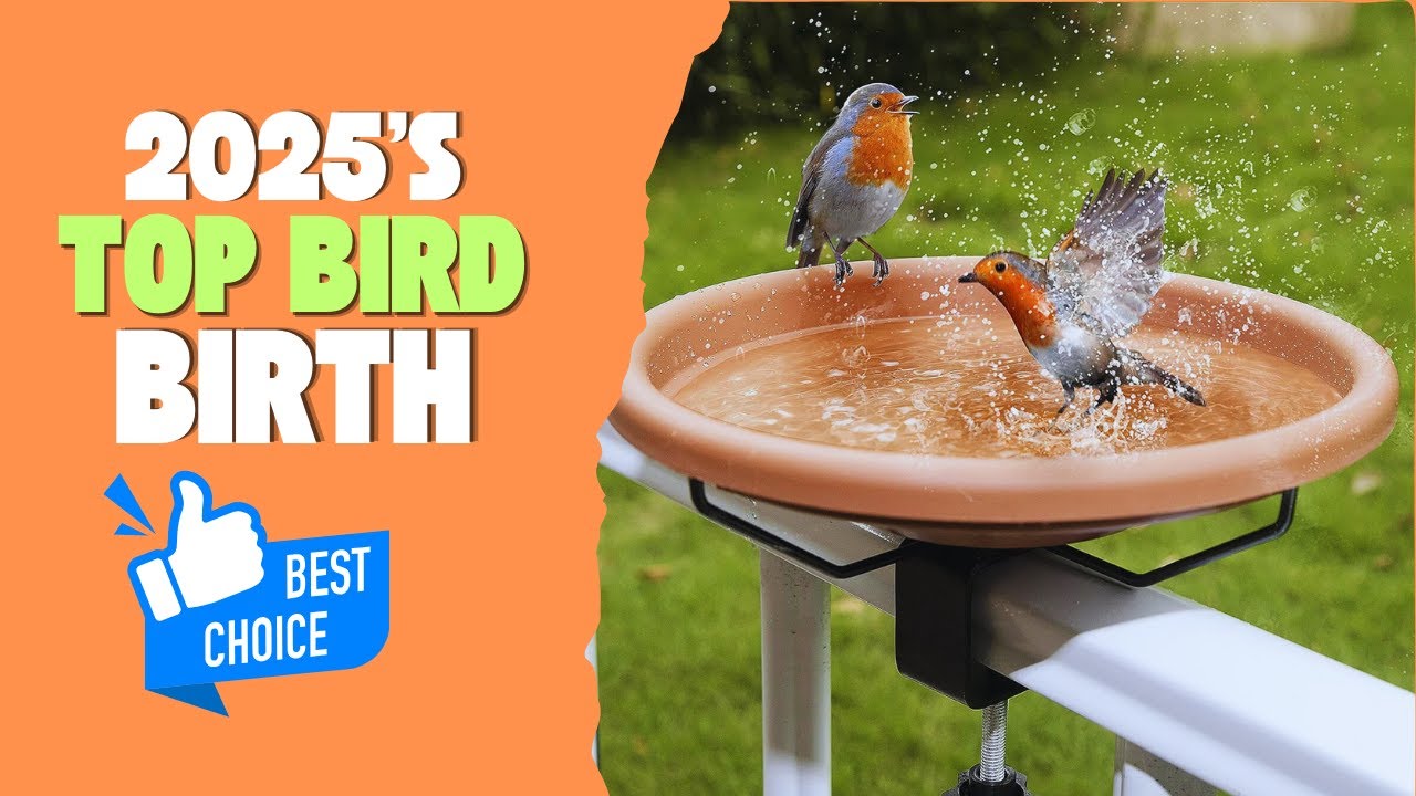 Best Bird Baths for Gardens 2025: Top 5 Must-Have Baths!