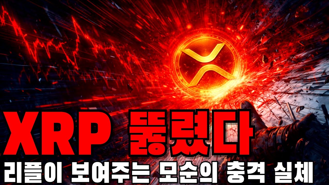 리플 XRP 고래는 사는데 가격은 대체 왜?