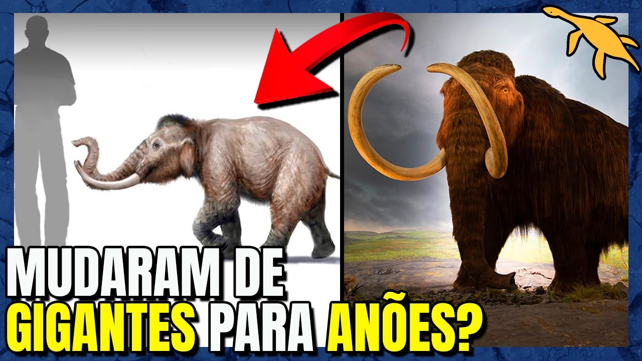TODOS os MAMUTES que existiram no MUNDO!