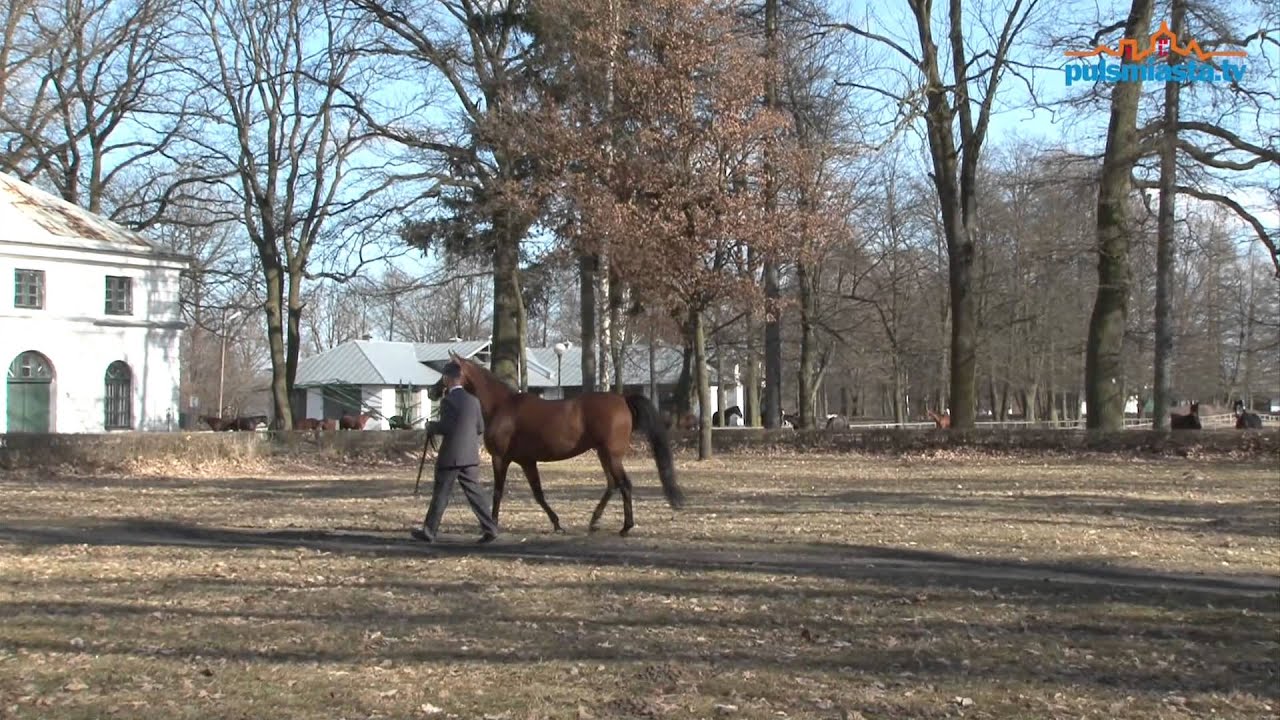 Powrót Pianissimy