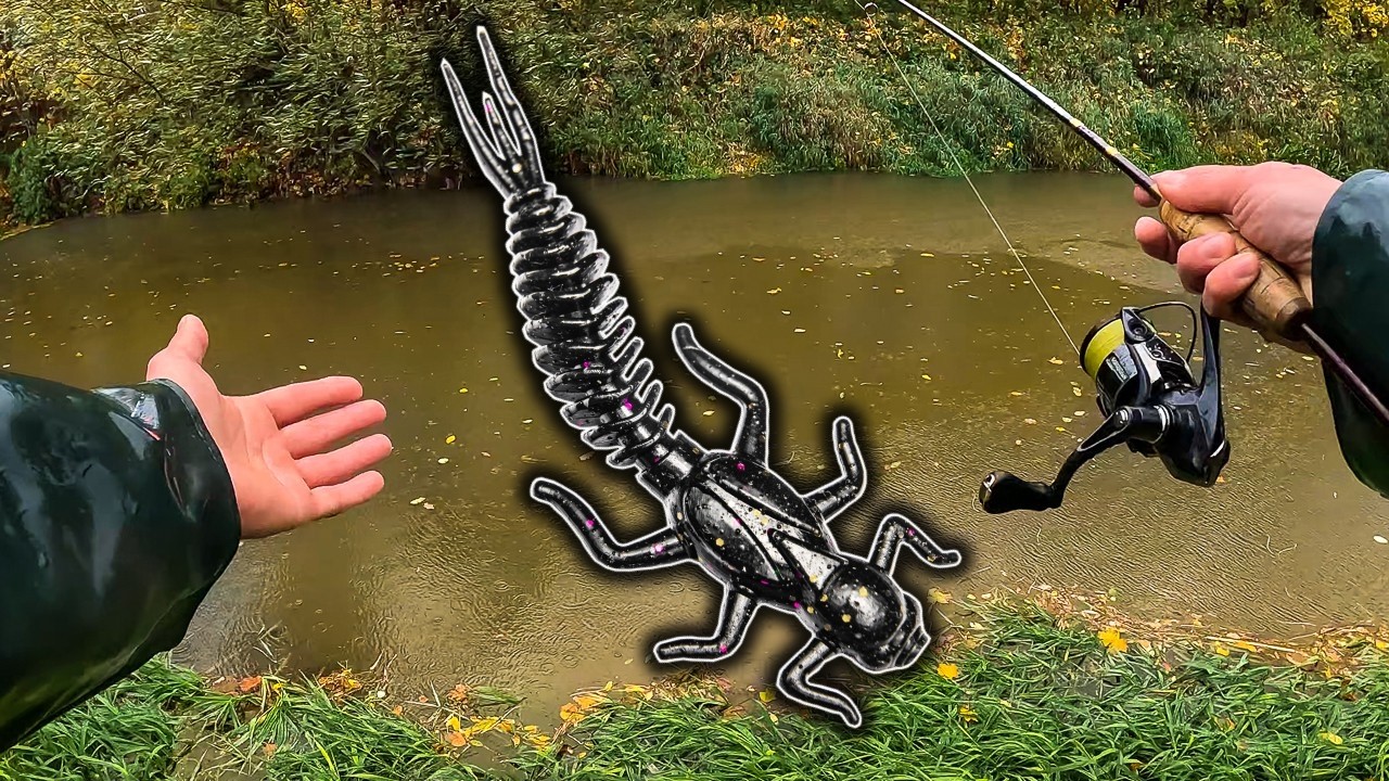 Deszcz i brudna woda to NAJLEPSZY MOMENT na KLENIE!