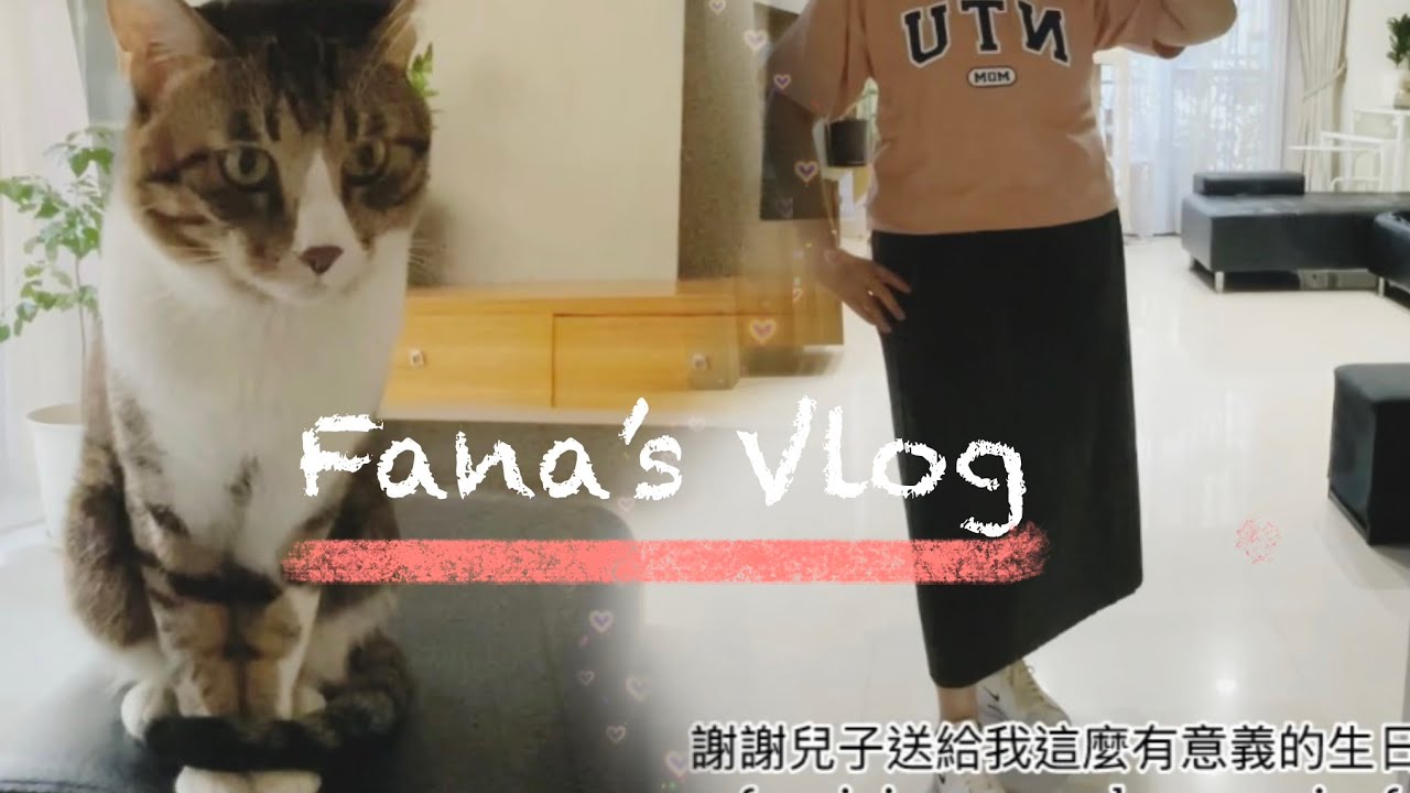 一個人的週末慢活｜52歲生日紀錄｜和貓咪狗狗的日常 A Quiet Weekend Alone | My 52nd Birthday | Life with My Pets in Taiwan