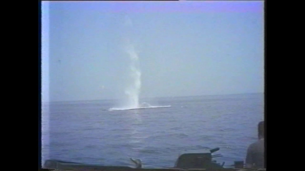 Tauchegruppe 1988 auf der Ostsee