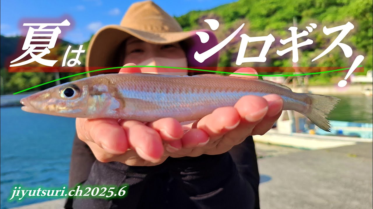【夏のちょい投げキス釣り】簡単仕掛けで、良型キス連発！！