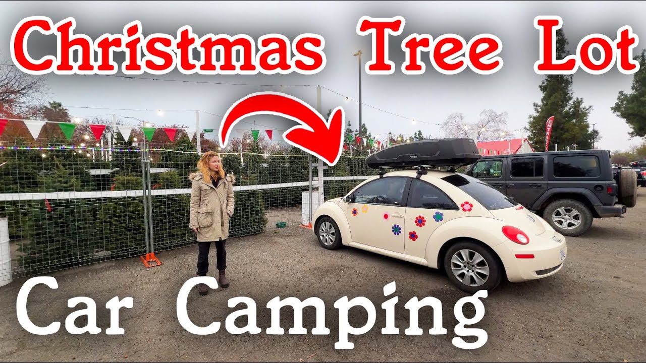 Christmas Tree Lot Stealth Car Camping | (Christmas Special)