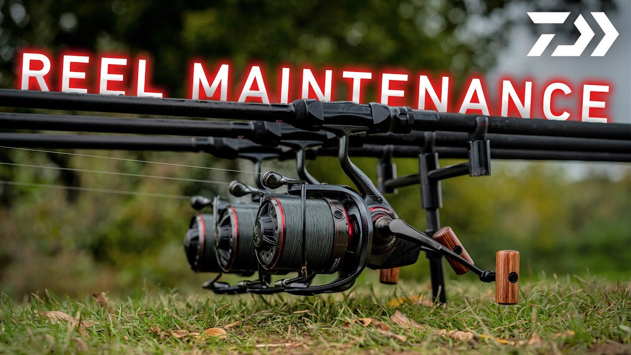 REEL MAINTENANCE - Keep Your Reels Running Smoothly | Daiwa Carp
