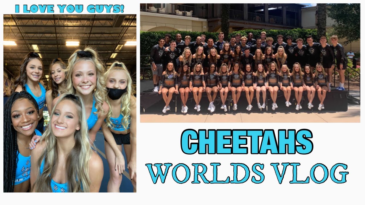 CHEETAHS WORLDS VLOG