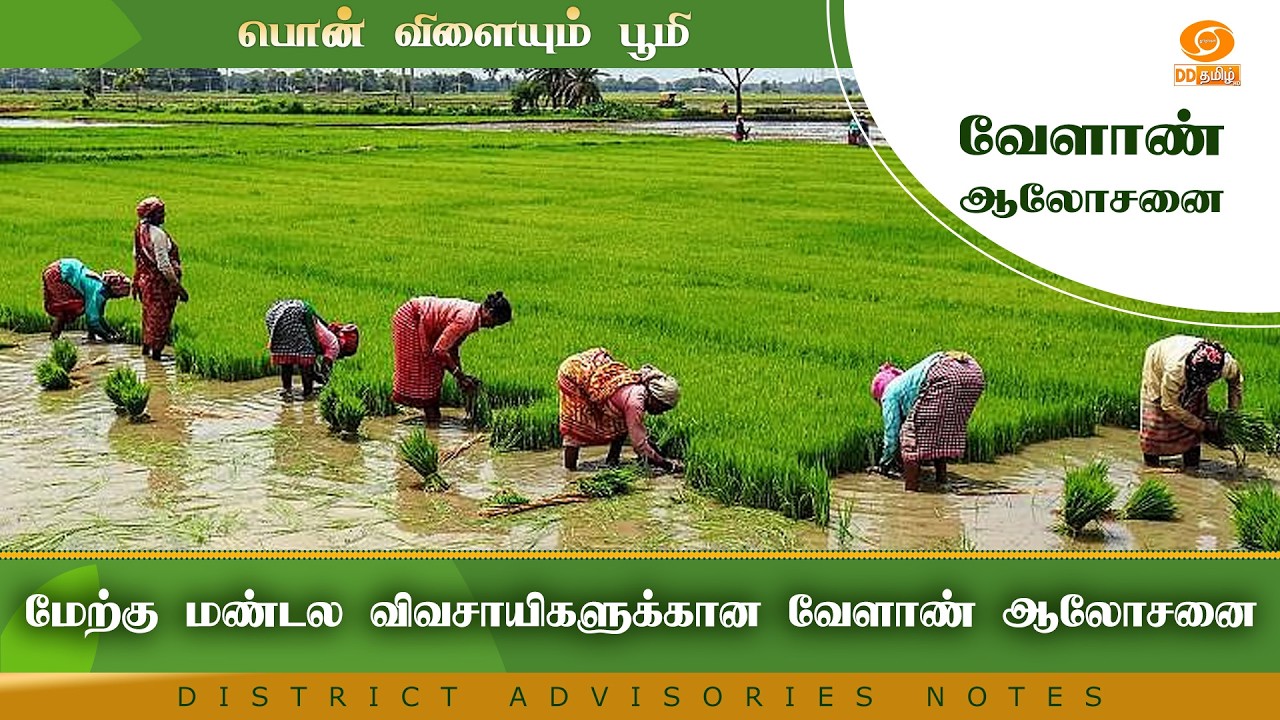 மேற்கு மண்டல விவசாயிகளுக்கான வேளாண் ஆலோசனை | Agri Advisories Notes
