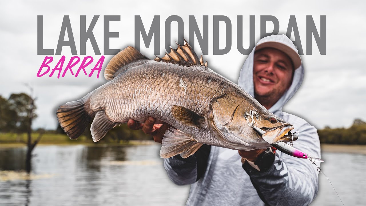 Barramundi Lake Monduran