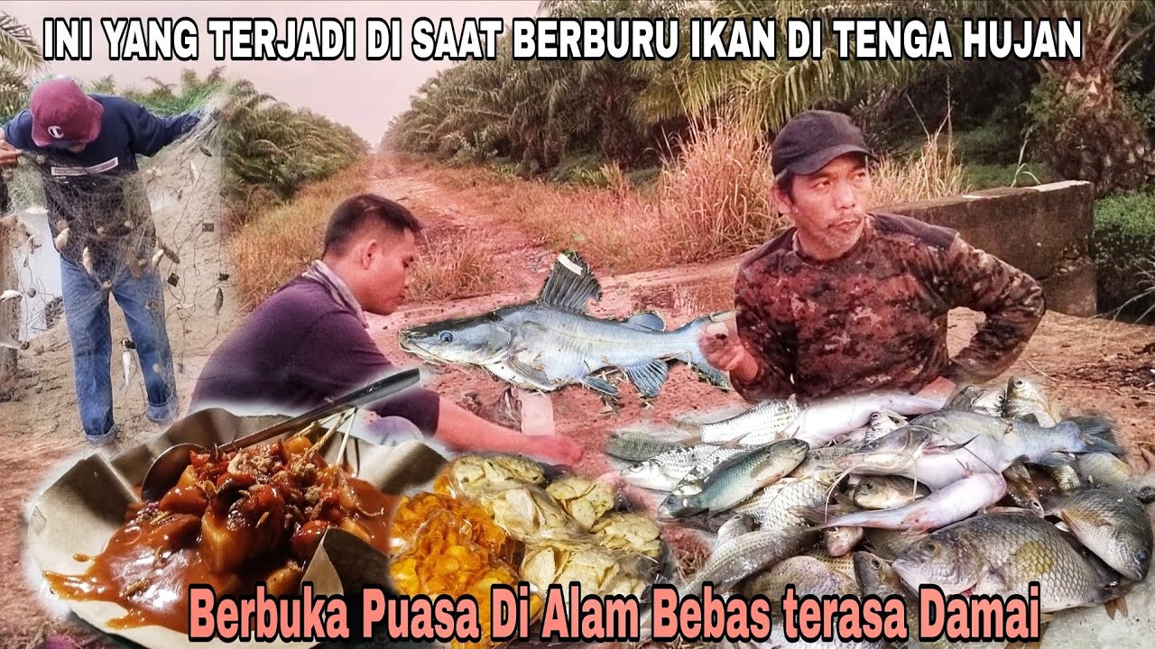 INI YANG TERJADI DI SAAT BERBURU IKAN  DI TENGAH HUJAN,,!! BER BUKA PUASA DI ALAM BEBAS TERASA DAMAI