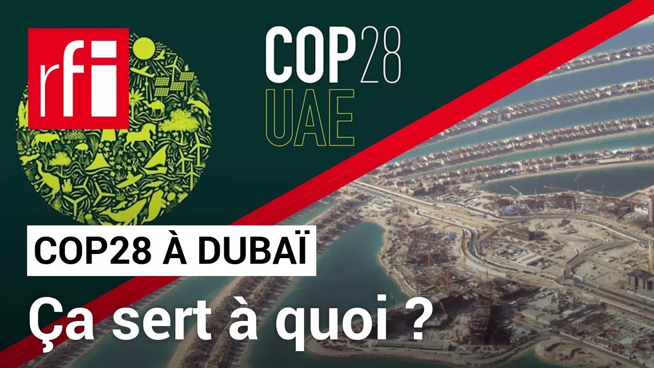 La COP28 à Dubaï, ça sert à quoi ? • RFI