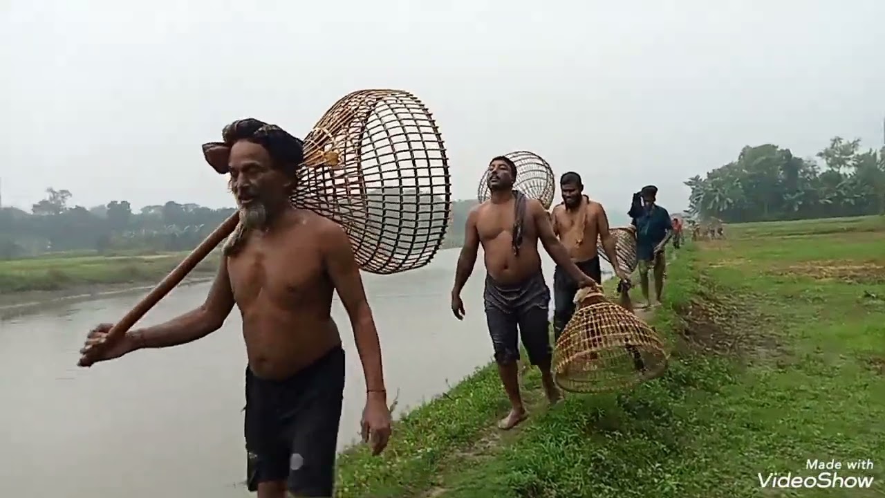নদীতে পল্ল দিয়ে মাছ ধরে ফেরার দৃশ্য 