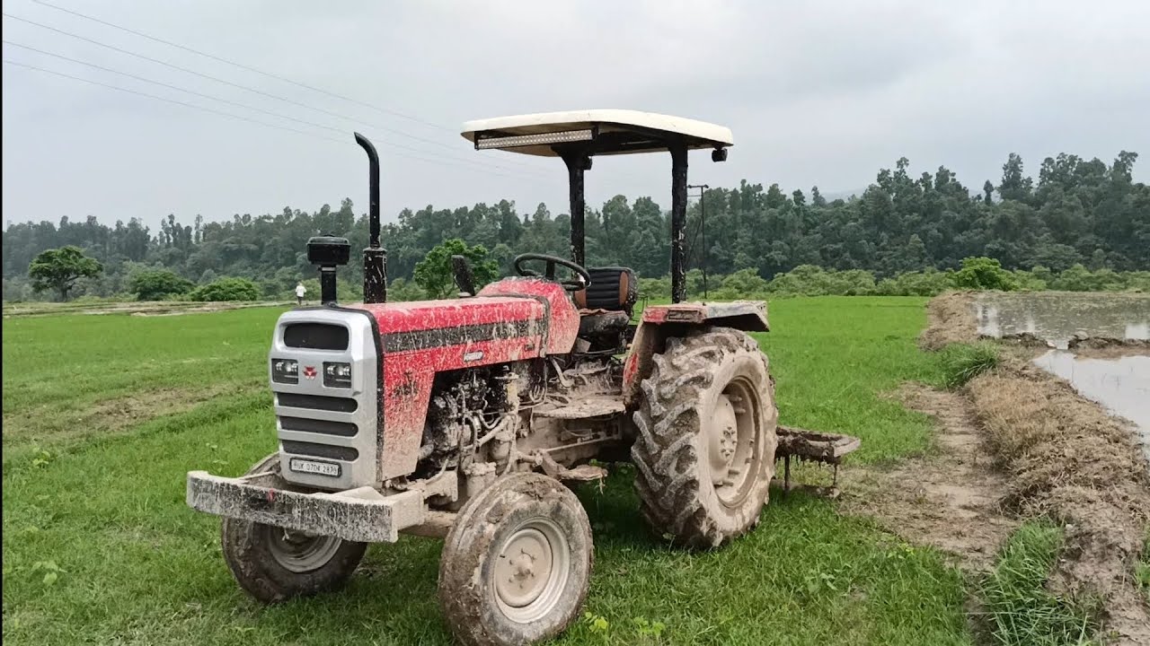 Tractor se ki खेतो की घुलाई||🚜🚜||देखिए Massey Ferguson 7250 Di || का काम