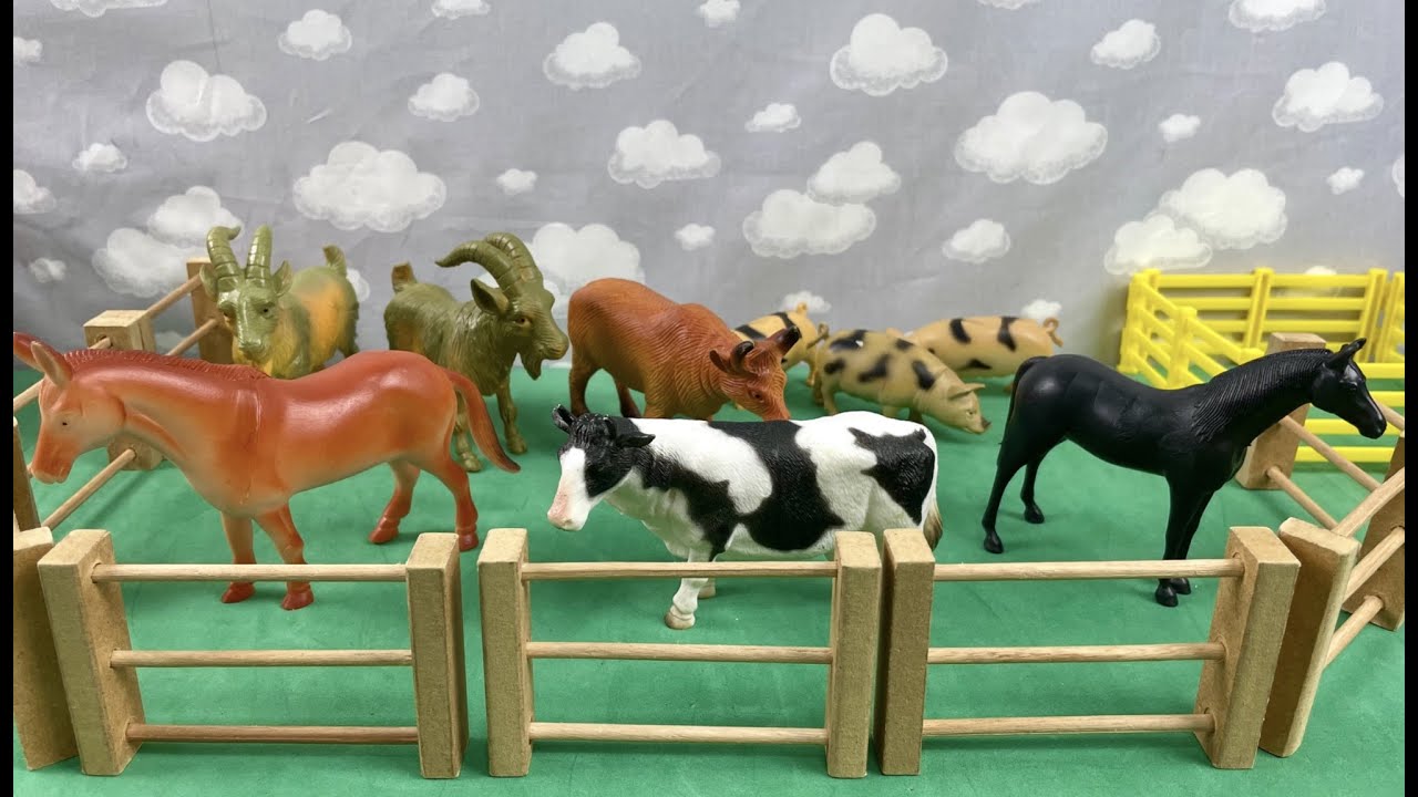 TRACTOR, TRAILER, TRUCK, COW, OX, HORSE, SHEEP, DOG/CARRETA, TRATOR, CAVALO, VACA, BOI, GALO