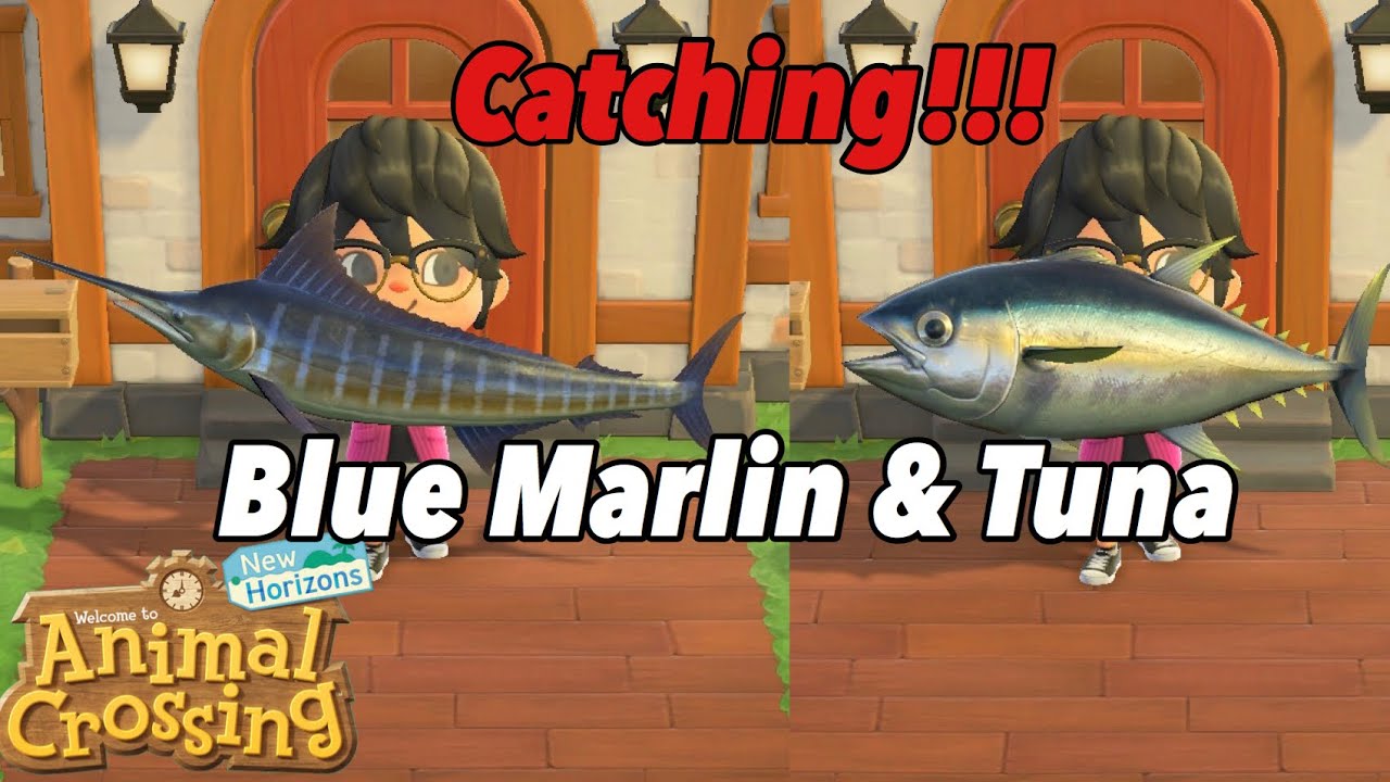 Catching Tuna & Blue Marlin (April) - Animal Crossing New Horizons  (Northern Hemisphere)