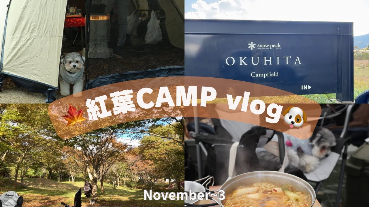 【紅葉キャンプvlog🍁⛺️】愛犬と一緒にスノーピーク奥日田に行ってきた/秋のキャンプ🍂/オススメキャンプご飯🍚
