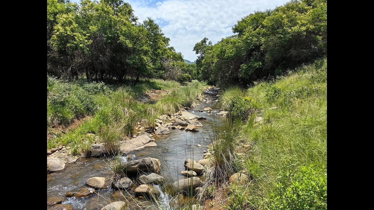 Aquatic habitat and ecology of a Crocodile River headwater stream