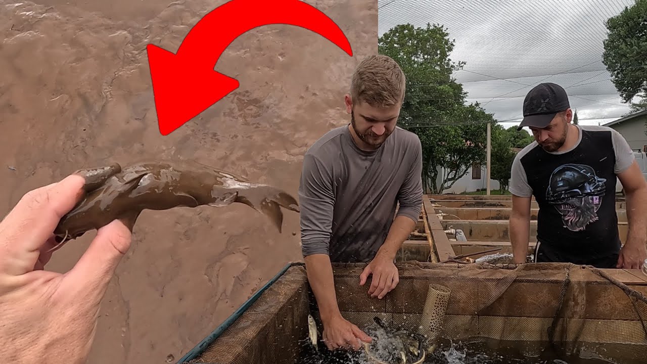 Secamos o deposito, não acreditei quando peguei