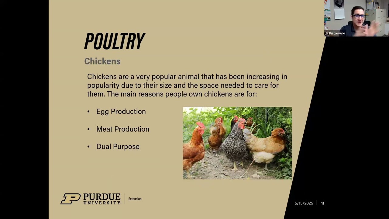 Proper Poultry Practices